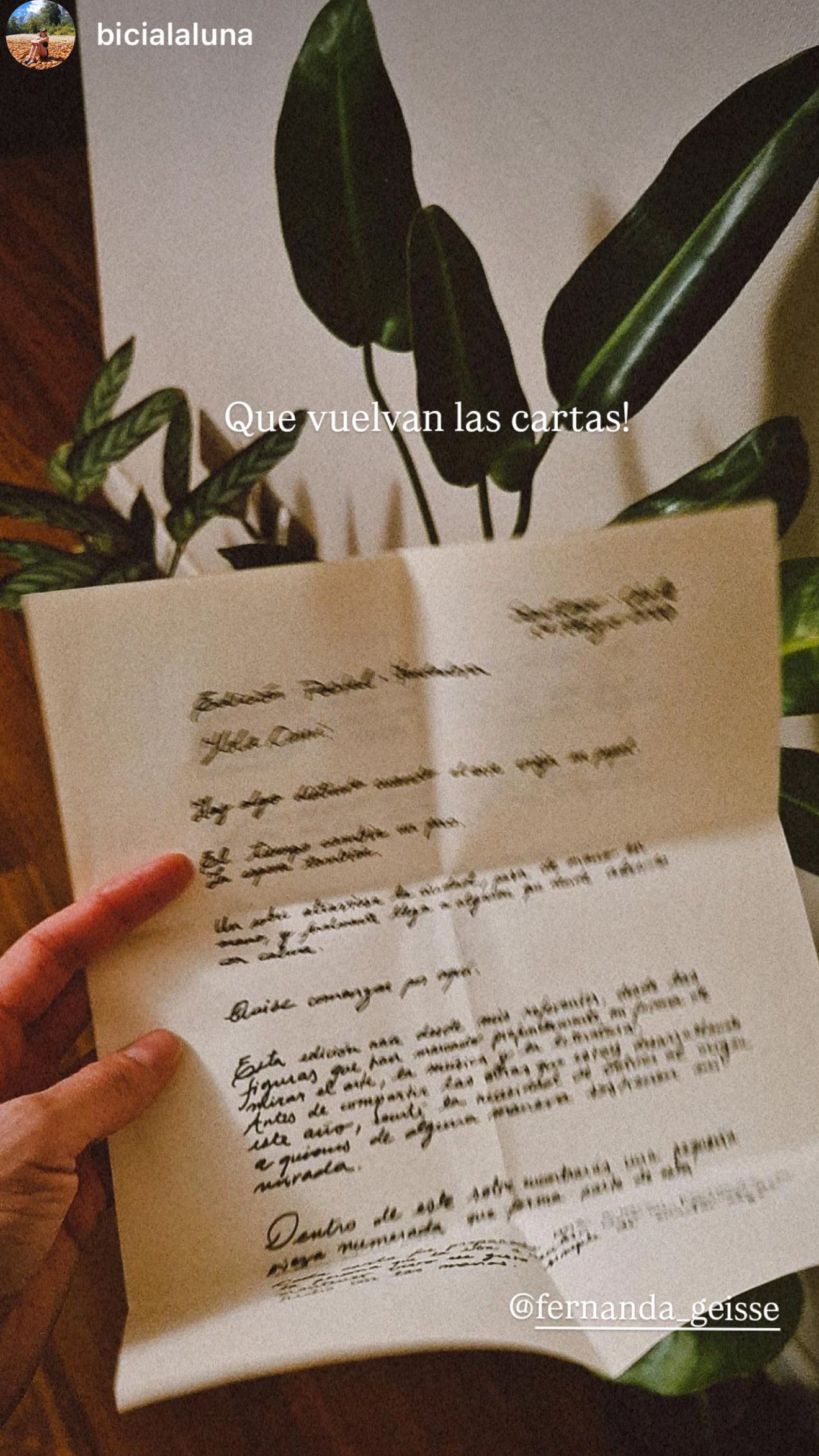 La Pausa | Un ritual postal de arte.