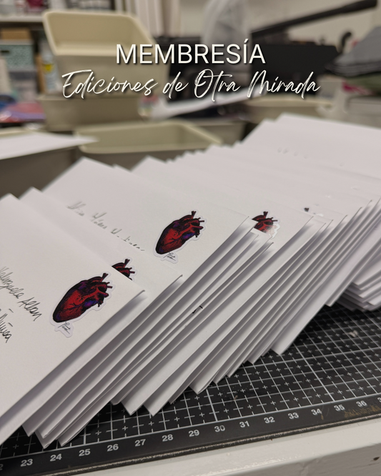 Ediciones de Otra Mirada | Membresía de Arte físico mensual.