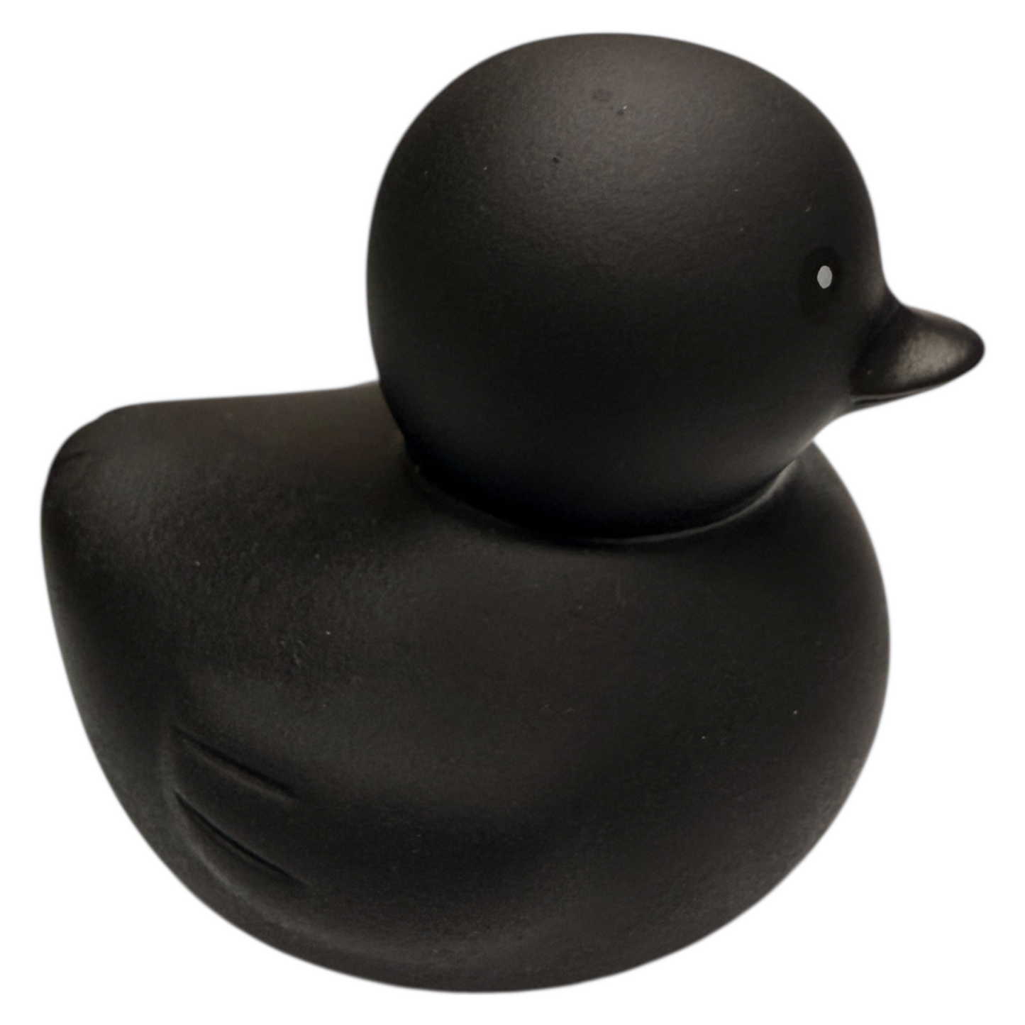 Pato Negro