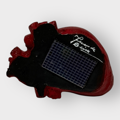 Corazón anatómico decorativo.