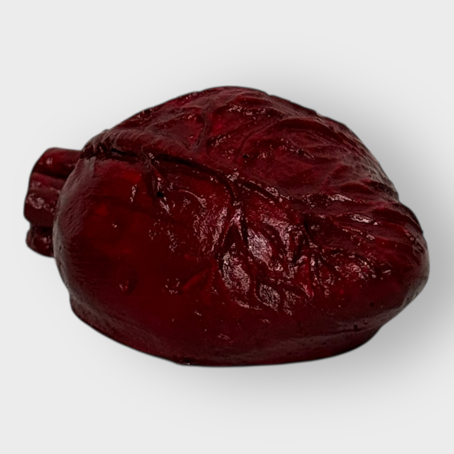 Corazón anatómico decorativo.