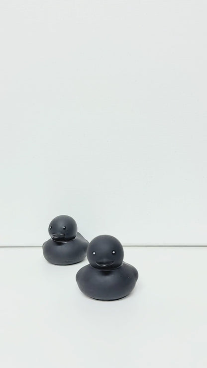 Pato Negro